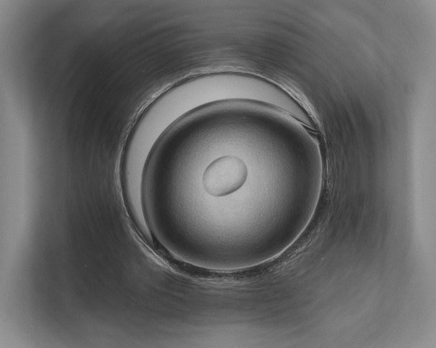X0000111480389200907210953
