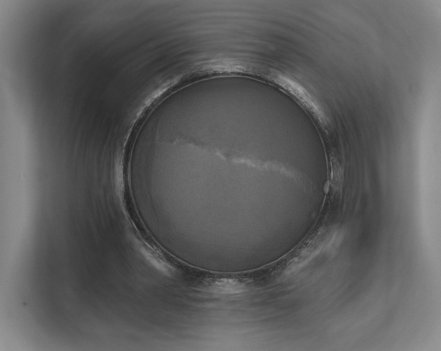 X0000111480390200907210953