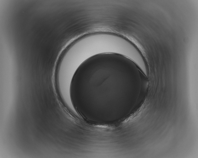 X0000111480391200907210953