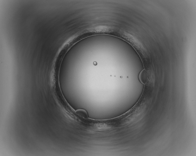 X0000111480392200907210953