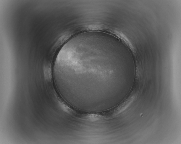 X0000111480393200907210953