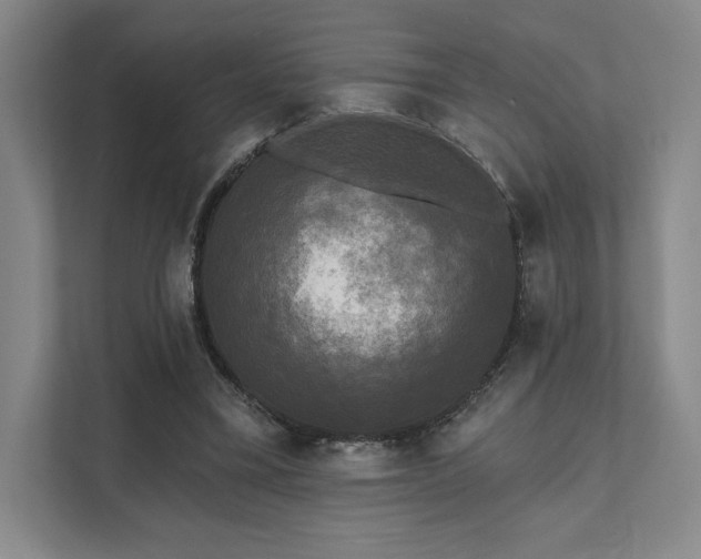 X0000111480395200907210953