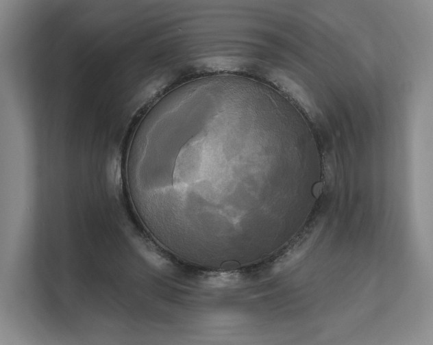 X0000111480398200907210953