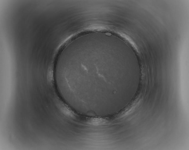 X0000111480399200907210953