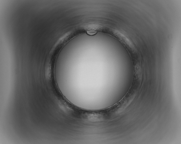 X0000111480400200907210953