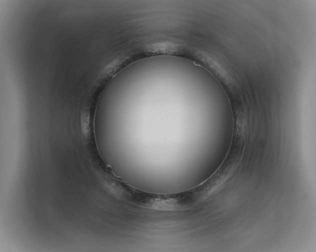 X0000111480403200907210953