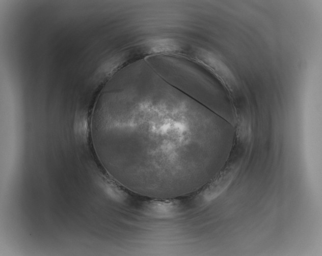 X0000111480405200907210953