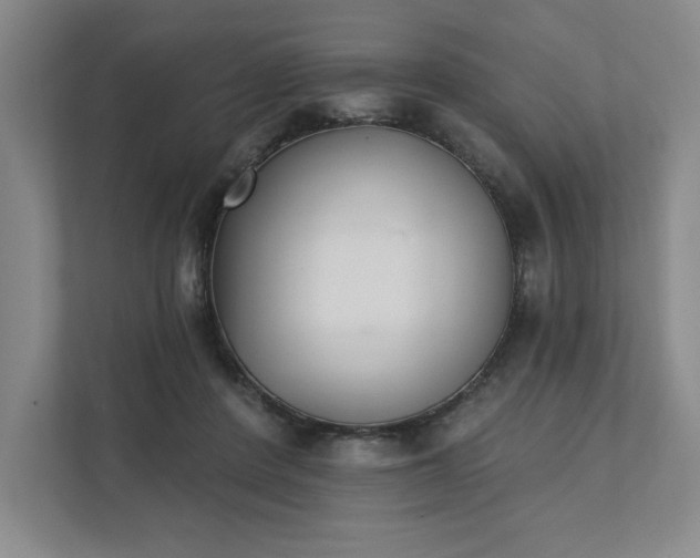 X0000111480408200907210953