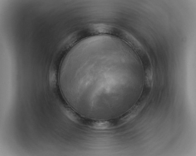 X0000111480410200907210953