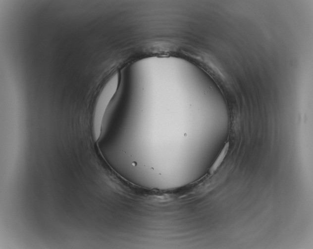 X0000111480411200907210953