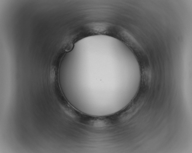 X0000111480412200907210953
