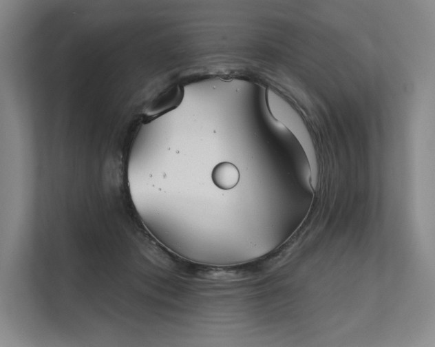 X0000111480413200907210953