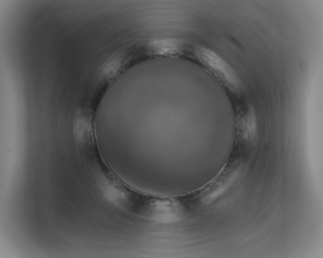 X0000111480415200907210952
