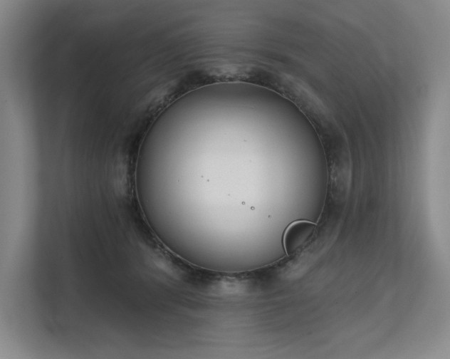 X0000111480416200907210952