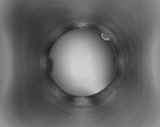 X0000111480421200907210952
