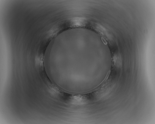 X0000111480423200907210952