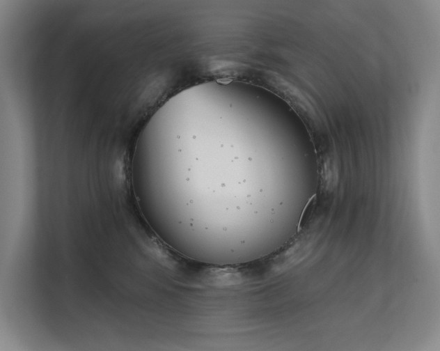 X0000111480424200907210952