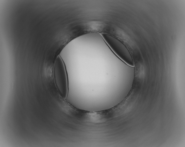 X0000111480425200907210952