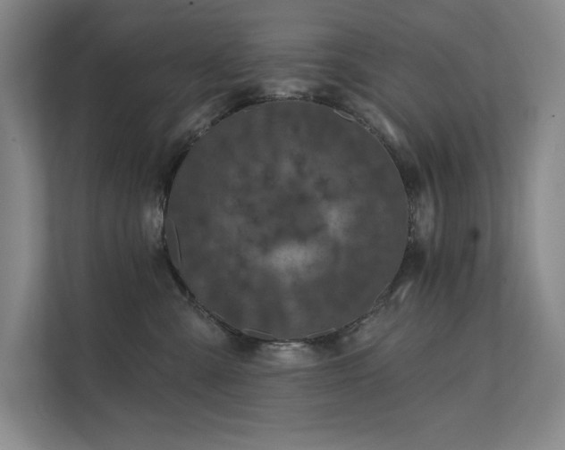 X0000111480427200907210952