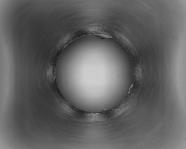 X0000111480428200907210952