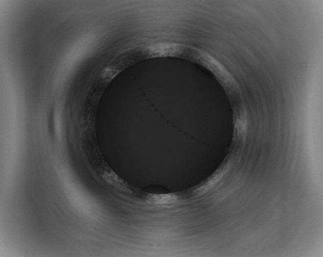 X0000111480429200907210952