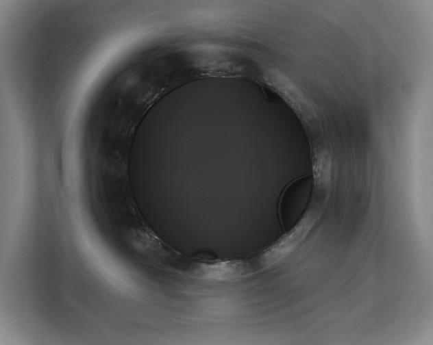 X0000111480430200907210952