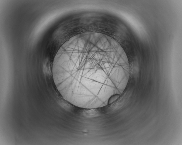 X0000111480431200907210952