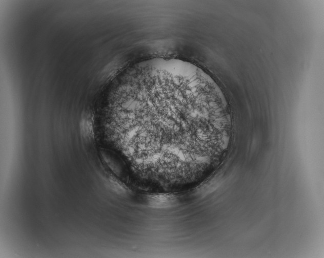 X0000111480432200907210952