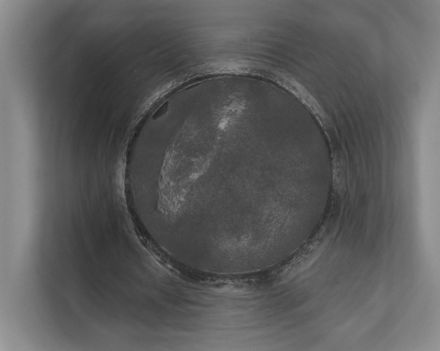 X0000111480434200907210952