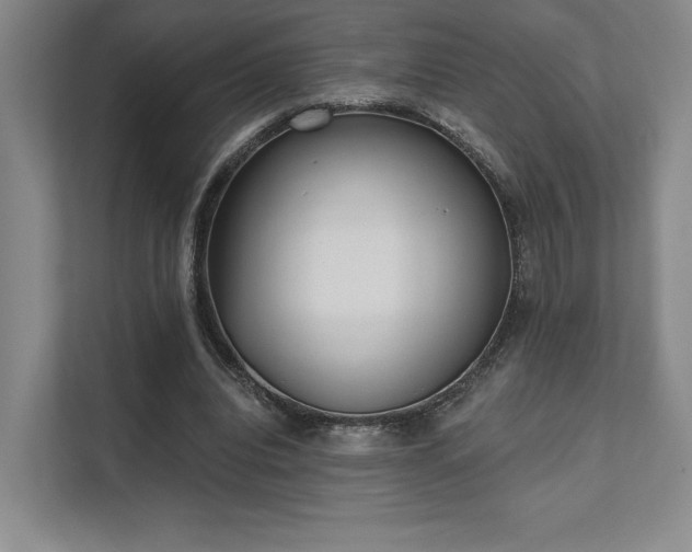 X0000111480440200907210952