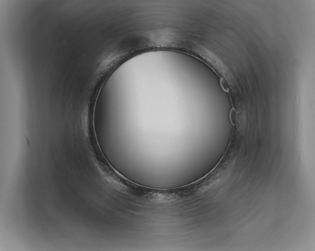 X0000111480442200907210952