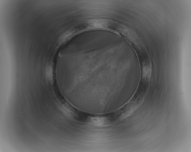 X0000111480444200907210952