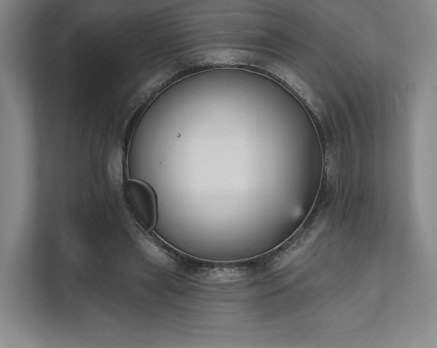 X0000111480445200907210952