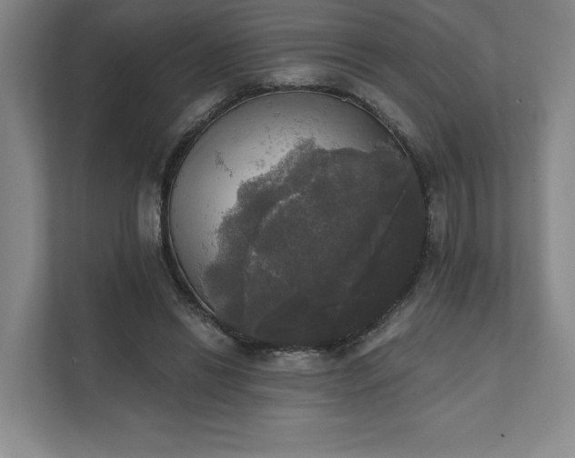 X0000111480446200907210952