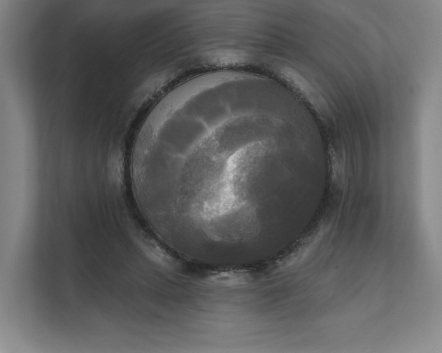 X0000111480447200907210952