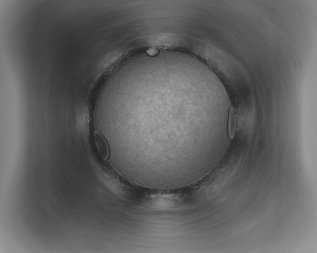 X0000111480448200907210952