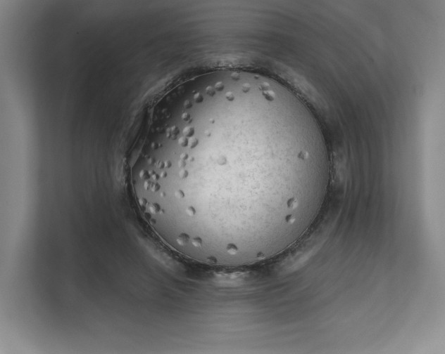 X0000111480450200907210952