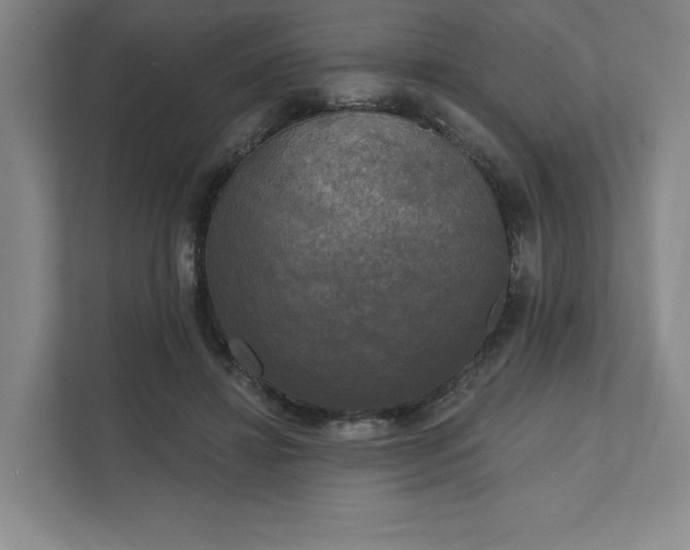 X0000111480452200907210952