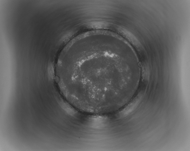 X0000111480453200907210952