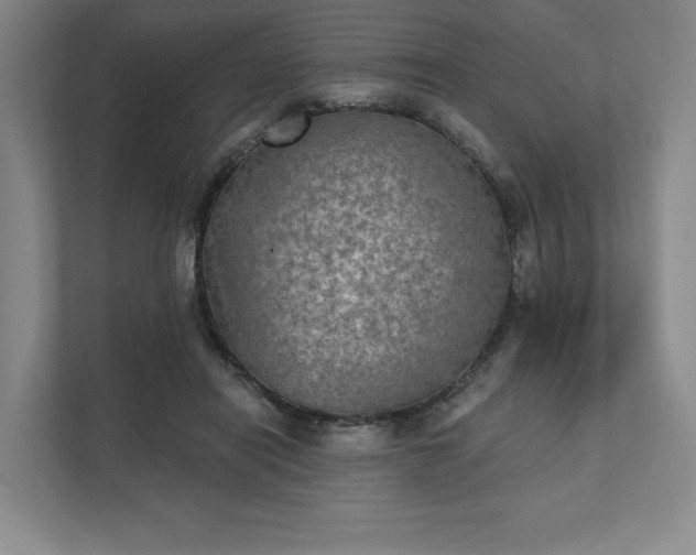 X0000111480454200907210952