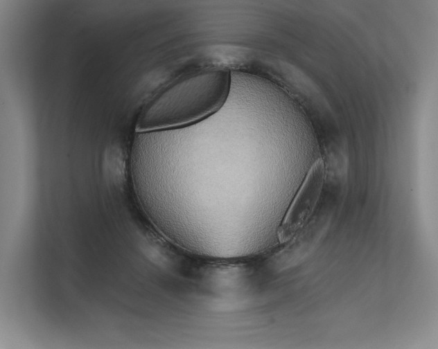 X0000111480456200907210952