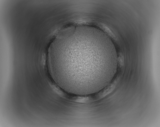 X0000111480458200907210952