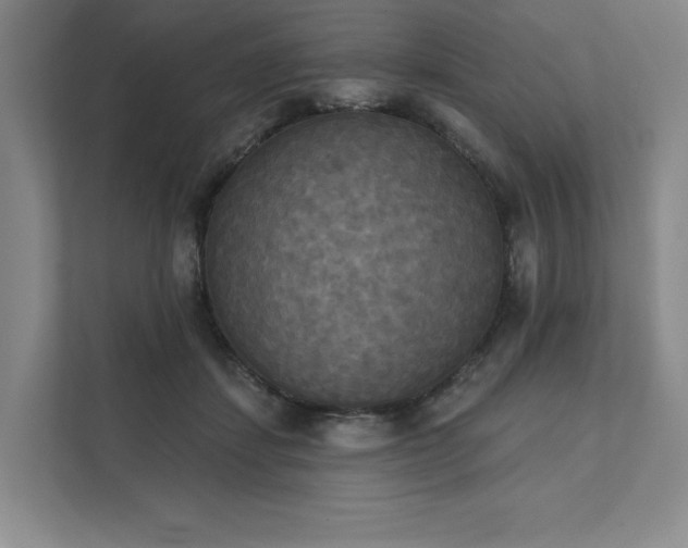 X0000111480459200907210952