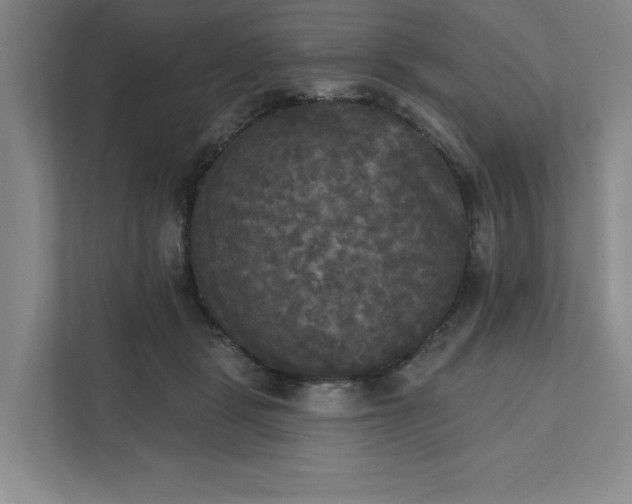 X0000111480461200907210952