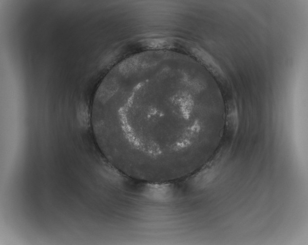 X0000111480469200907210952