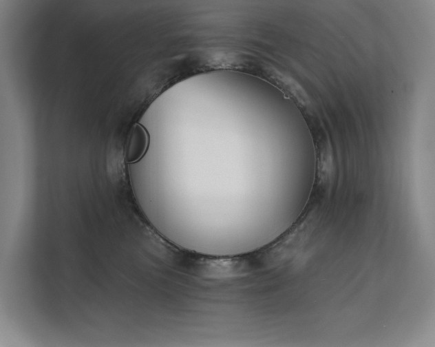 X0000111480473200907210952