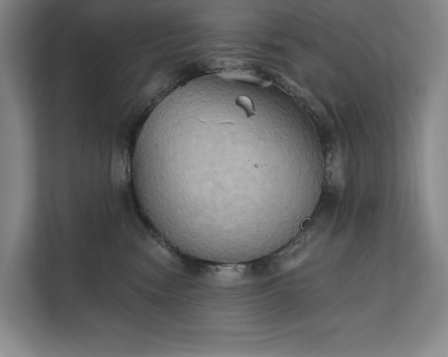 X0000111480474200907210952