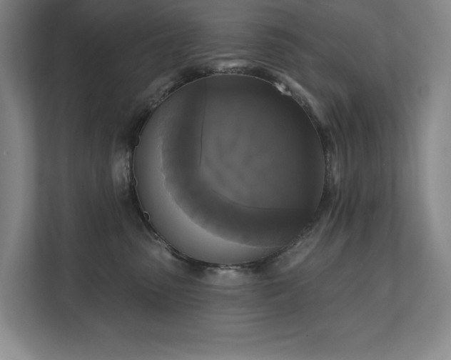 X0000111480475200907210952