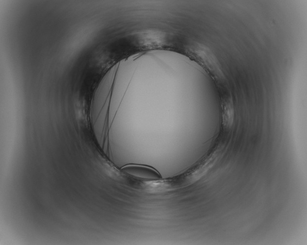 X0000111480477200907210952