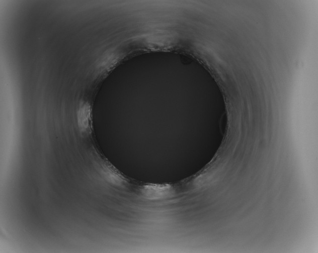 X0000111480480200907210952